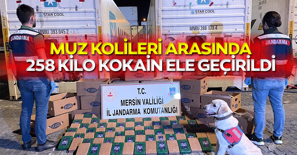 Muz Kolileri Arasında 258 Kilo Kokain Ele Geçirildi