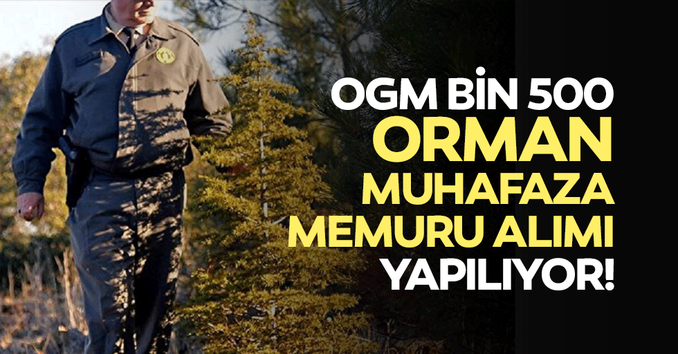 OGM bin 500 orman muhafaza memuru alımı yapılıyor