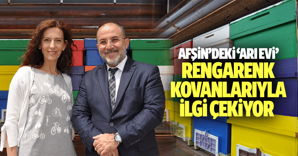 Afşin’deki ‘Arı Evi’ Rengarenk Kovanlarıyla İlgi Çekiyor