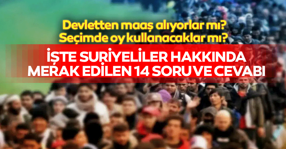 Devletten maaş alıyorlar mı, seçimde oy kullanacaklar mı? İşte Suriyeliler hakkında merak edilen 14 soru ve cevabı