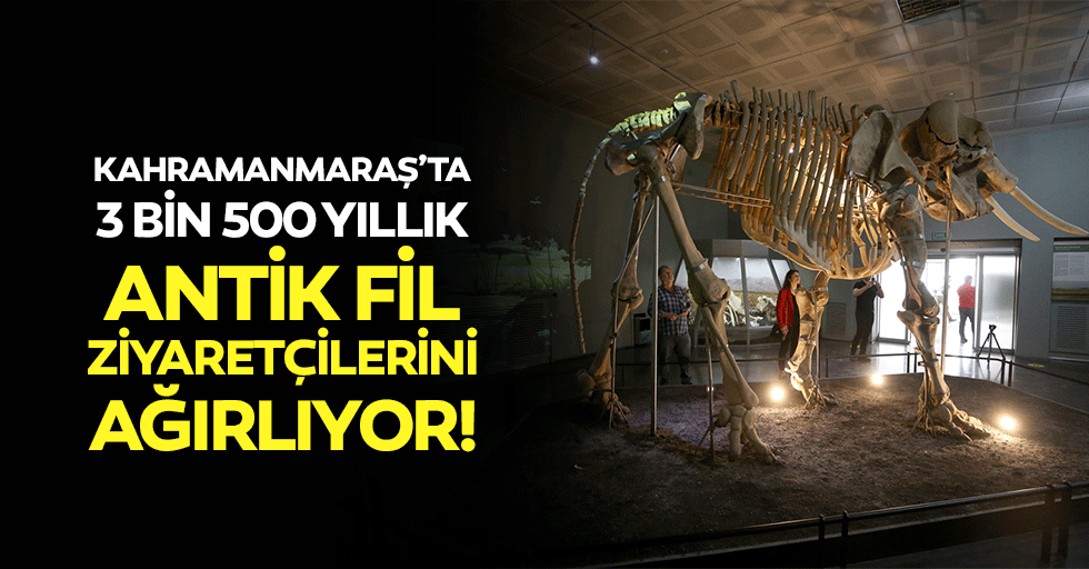 Kahramanmaraş’ta 3 bin 500 yıllık antik fil ziyaretçilerini ağırlıyor!
