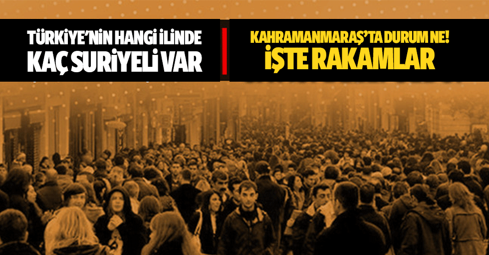 Türkiye'nin Hangi İlinde Kaç Suriyeli Var: İşte Rakamlar