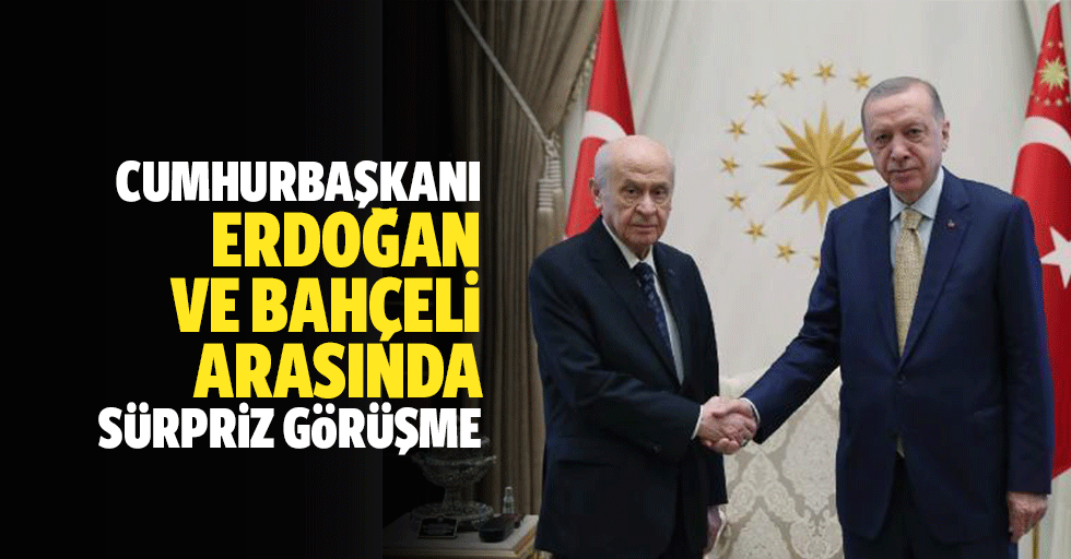 Cumhurbaşkanı Erdoğan ve Bahçeli Arasında Sürpriz Görüşme