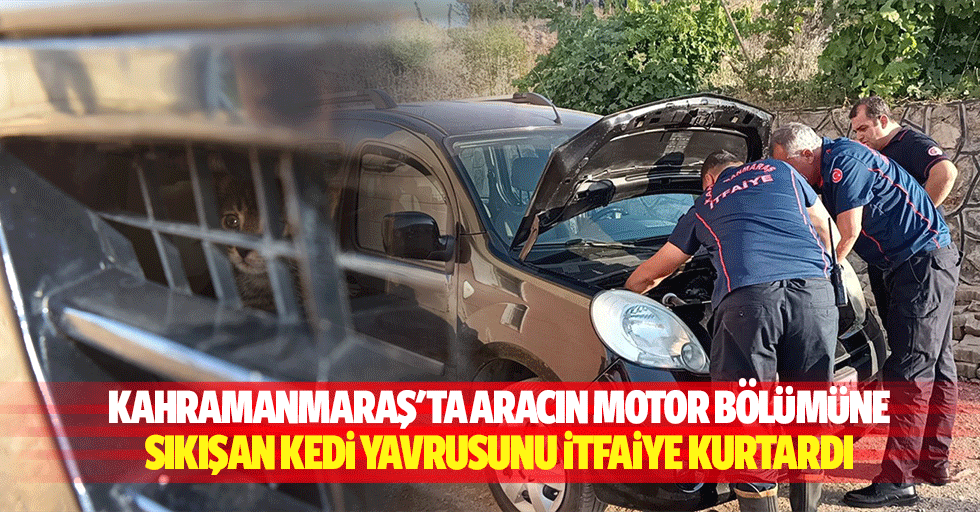 Kahramanmaraş'ta aracın motor bölümüne sıkışan kedi yavrusunu itfaiye kurtardı