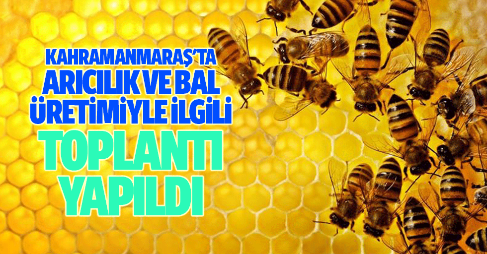 Kahramanmaraş'ta arıcılık ve bal üretimiyle ilgili toplantı yapıldı