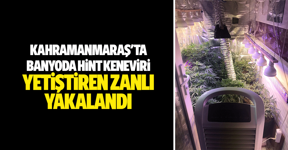 Kahramanmaraş'ta banyoda hint keneviri yetiştiren zanlı yakalandı
