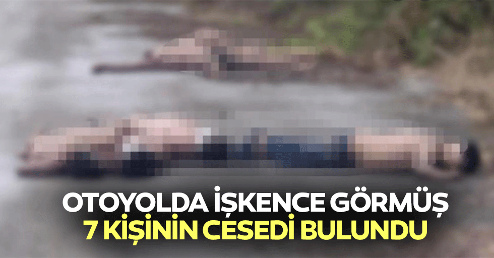 Otoyolda İşkence Görmüş 7 Kişinin Cesedi Bulundu