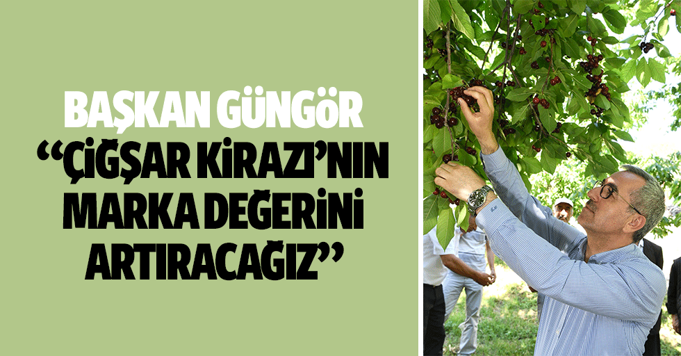 Başkan Güngör; “Çiğşar Kirazı’nın marka değerini artıracağız”