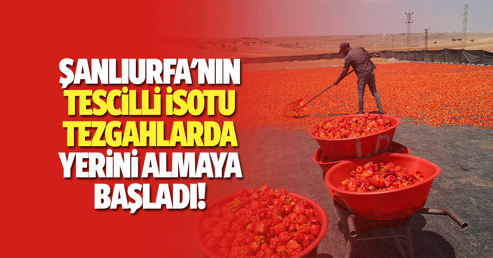 Şanlıurfa'nın tescilli isotu tezgahlarda yerini almaya başladı