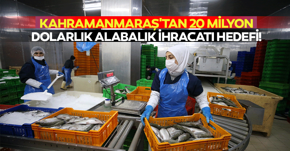 Kahramanmaraş'tan 20 milyon dolarlık alabalık ihracatı hedefi!