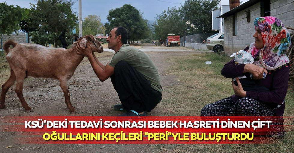 KSÜ’deki Tedavi Sonrası Bebek Hasreti Dinen Çift, Oğullarını Keçileri "Peri"yle Buluşturdu