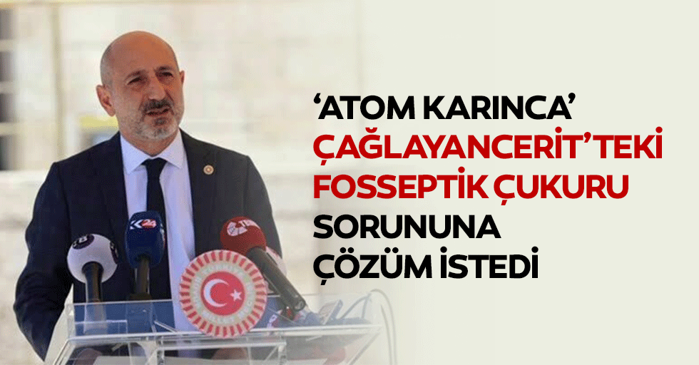 ‘Atom Karınca’, Çağlayancerit’teki Fosseptik Çukuru Sorununa Çözüm İstedi