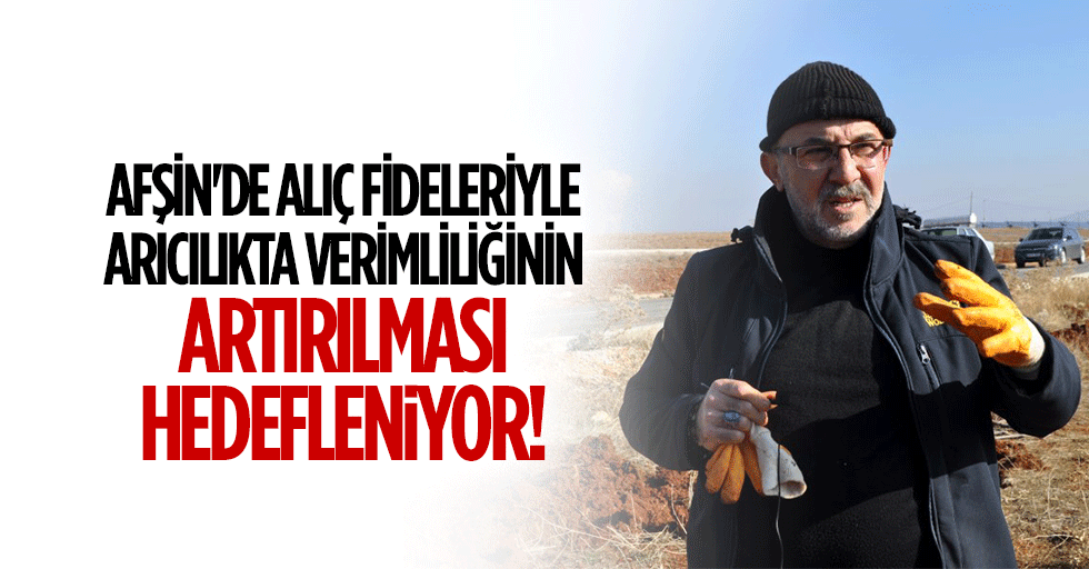 Afşin'de Alıç Fideleriyle Arıcılıkta Verimliliğinin Artırılması Hedefleniyor