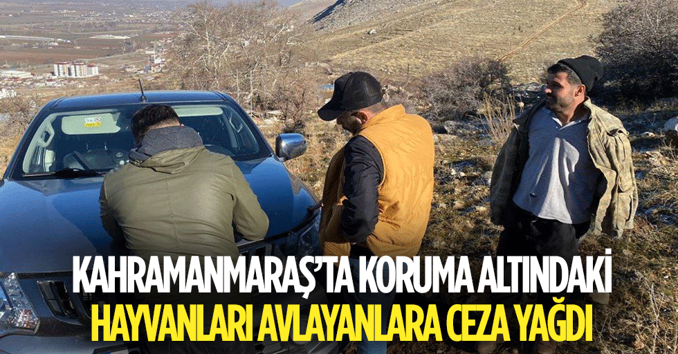 Kahramanmaraş’ta Koruma Altındaki Hayvanları Avlayanlara Ceza Yağdı
