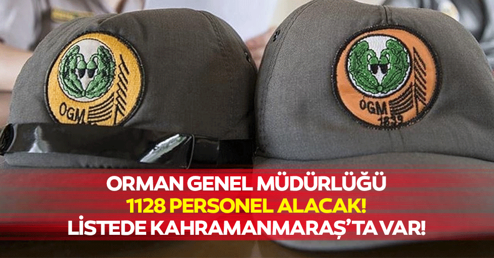 Orman Genel Müdürlüğü 1128 personel alacak! Listede Kahramanmaraş’ta var!