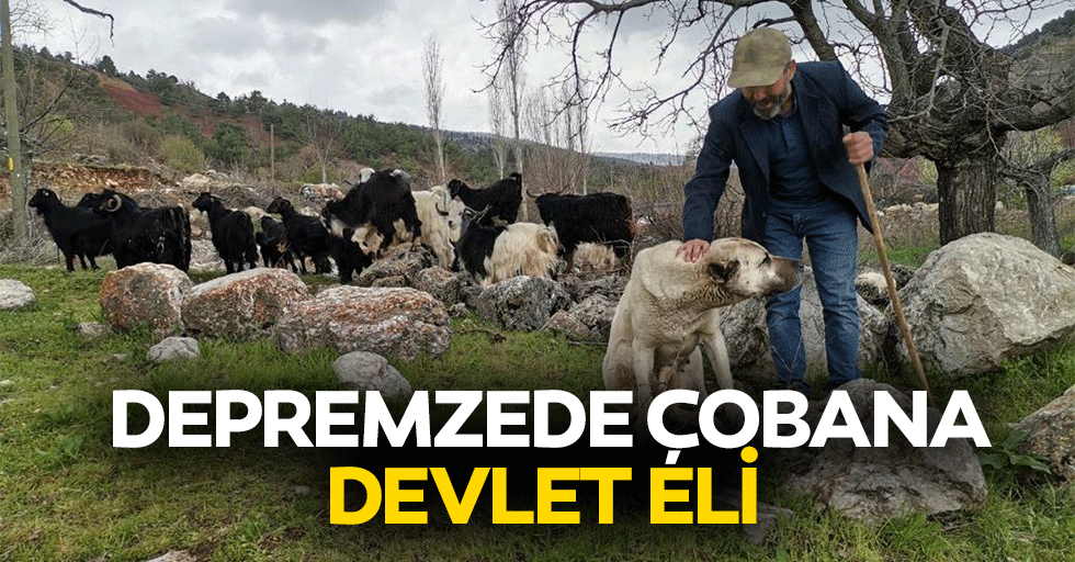 Depremzede Çobana Devlet Eli