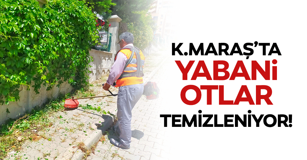 Kahramanmaraş’ta yabani otlar temizleniyor!