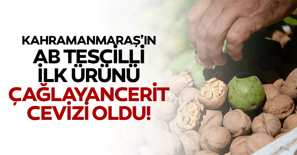 Kahramanmaraş’ın Ab Tescilli İlk Ürünü; Çağlayancerit Cevizi Oldu!
