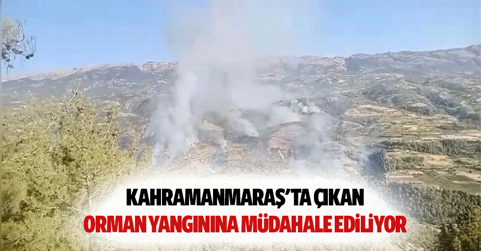 Kahramanmaraş'ta çıkan orman yangınına müdahale ediliyor