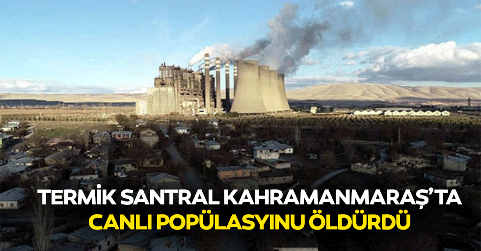 Termik Santral Kahramanmaraş’ta Canlı Popülasyınu Öldürdü