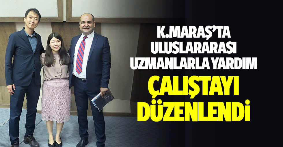 Kahramanmaraş’ta Uluslararası Uzmanlarla Yardım Çalıştayı Düzenlendi