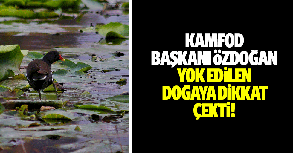KAMFOD Başkanı Özdoğan, yok edilen doğaya dikkat çekti!