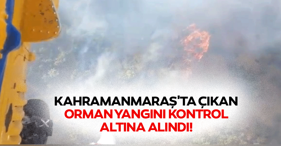 Kahramanmaraş'ta çıkan orman yangını kontrol altına alındı