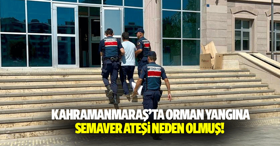 Kahramanmaraş’ta orman yangına semaver ateşi neden olmuş!