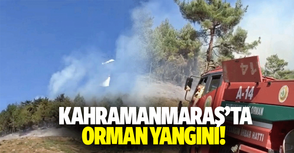 Kahramanmaraş’ta orman yangını!