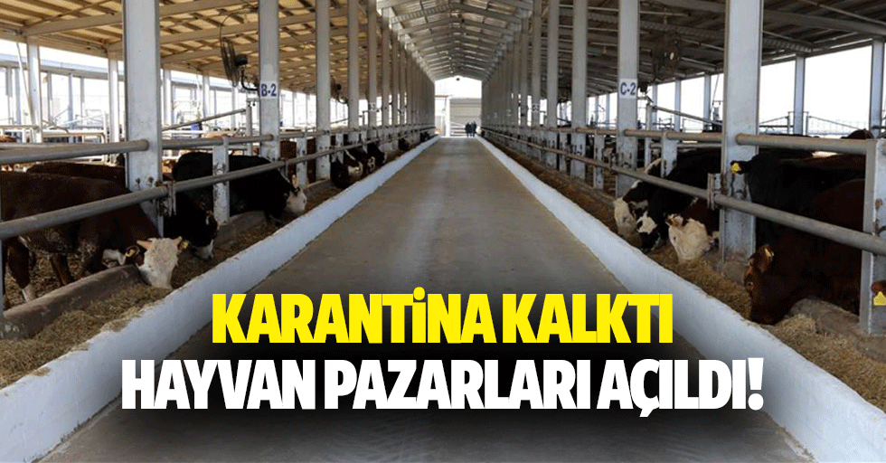 Karantina kalktı, hayvan pazarları açıldı!