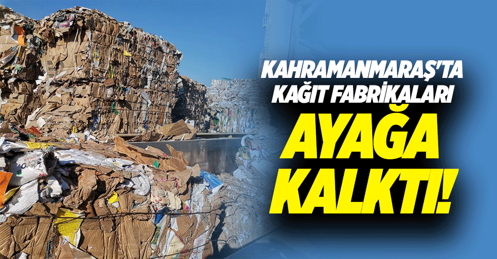 Kahramanmaraş'ta kağıt fabrikaları ayağa kalktı!