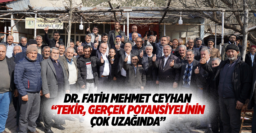 Dr. Fatih Mehmet Ceyhan “Tekir, gerçek potansiyelinin çok uzağında”