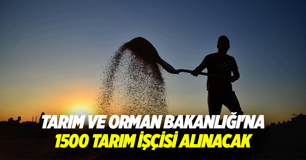 Tarım ve Orman Bakanlığı'na 1500 tarım işçisi alınacak