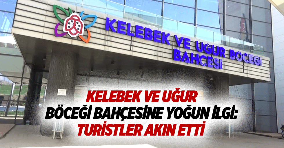 Kelebek ve uğur böceği bahçesine yoğun ilgi! Turistler akın etti