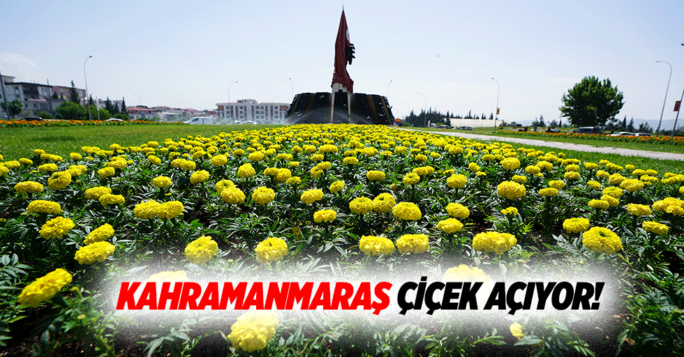 Kahramanmaraş çiçek açıyor