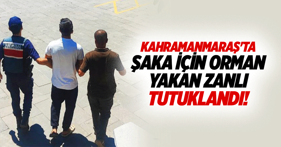 Kahramanmaraş'ta şaka için orman yakan zanlı tutuklandı!