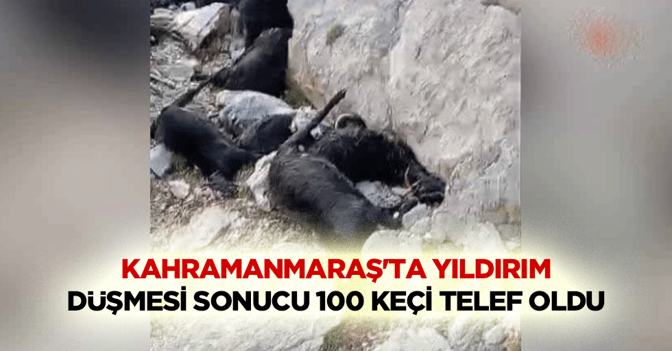 Kahramanmaraş'ta yıldırım düşmesi sonucu 100 keçi telef oldu