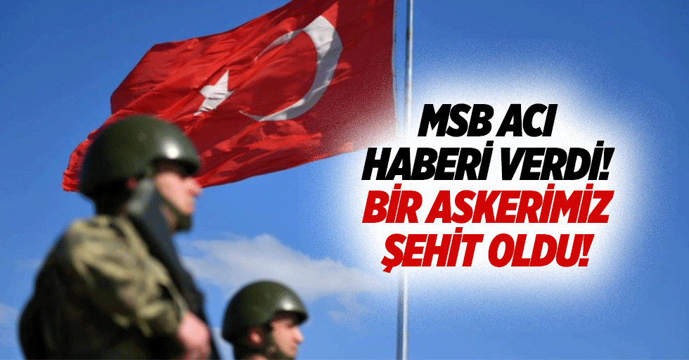 MSB acı haberi verdi! Bir askerimiz şehit oldu!