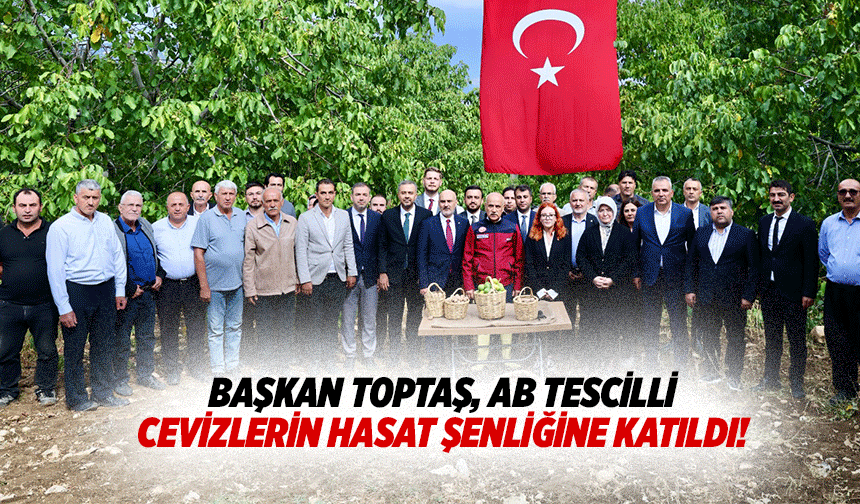 Başkan Toptaş, AB Tescilli Cevizlerin Hasat Şenliğine Katıldı