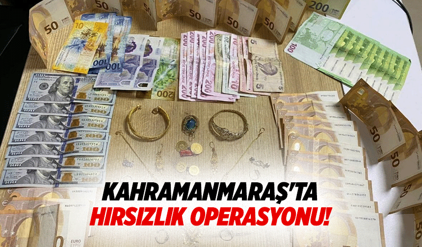 Kahramanmaraş'ta hırsızlık operasyonu!