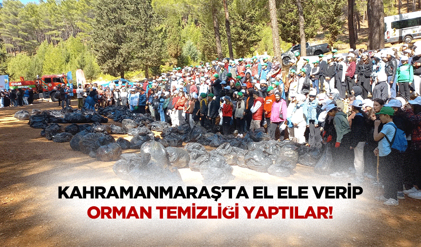 Kahramanmaraş’ta el ele verip orman temizliği yaptılar!