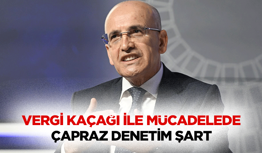 Vergi Kaçağı ile mücadelede çapraz denetim şart