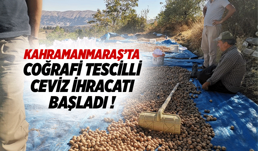 Kahramanmaraş’ta coğrafi tescilli ceviz ihracatı başladı!