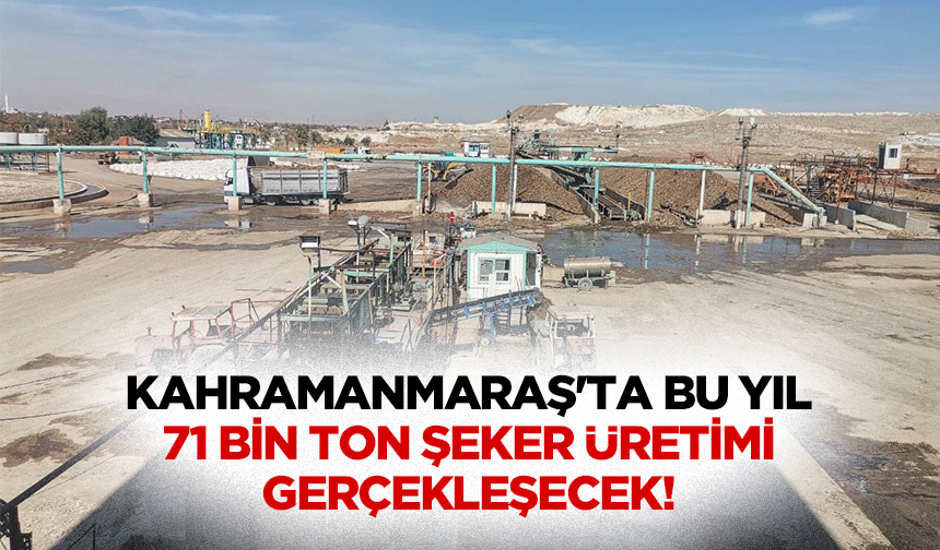 Kahramanmaraş'ta bu yıl 71 bin ton şeker üretimi gerçekleşecek!