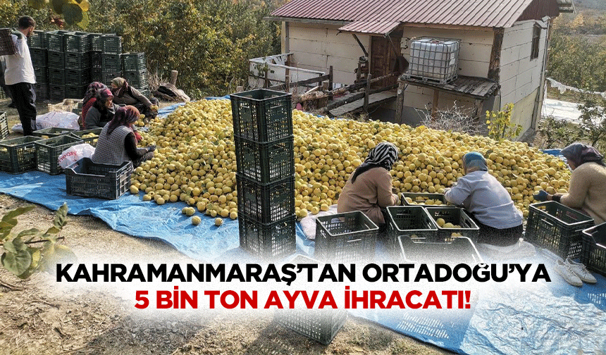 Kahramanmaraş’tan Ortadoğu’ya 5 bin ton ayva ihracatı!