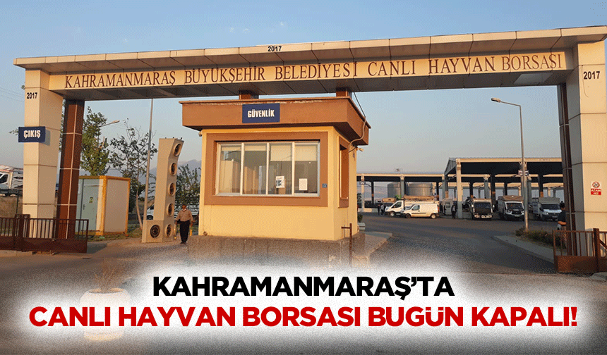 Kahramanmaraş’ta canlı hayvan borsası bugün kapalı!