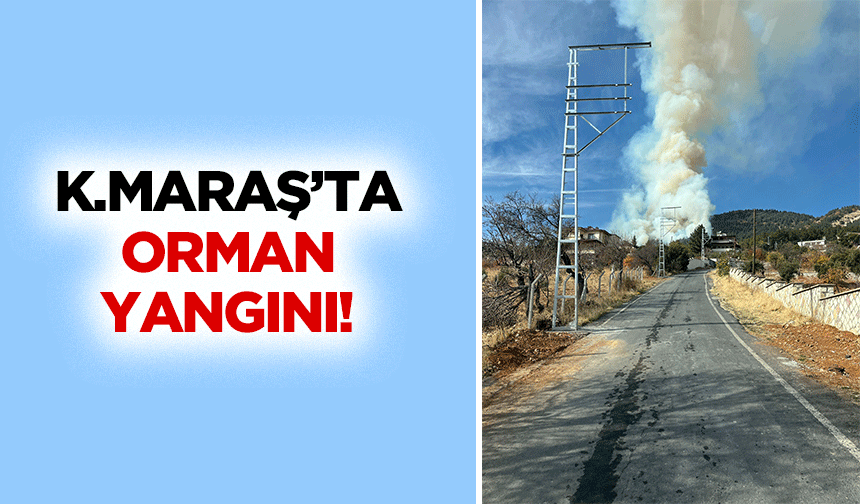 Kahramanmaraş’ta orman yangını!