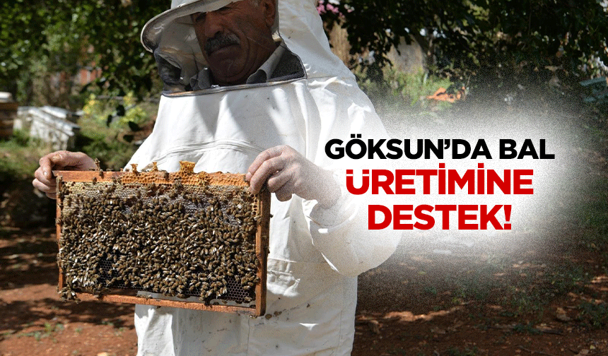 Göksun’da bal üretimine destek!