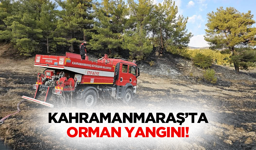 Kahramanmaraş’ta orman yangını!