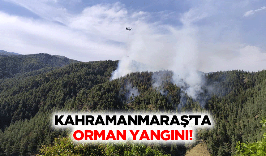 Kahramanmaraş’ta Orman Yangını